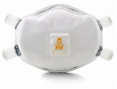 N100 Particulate Respirator (10 pack)